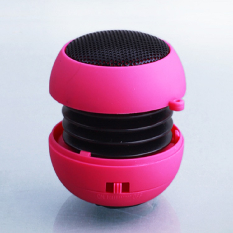 mini Speaker  MS100